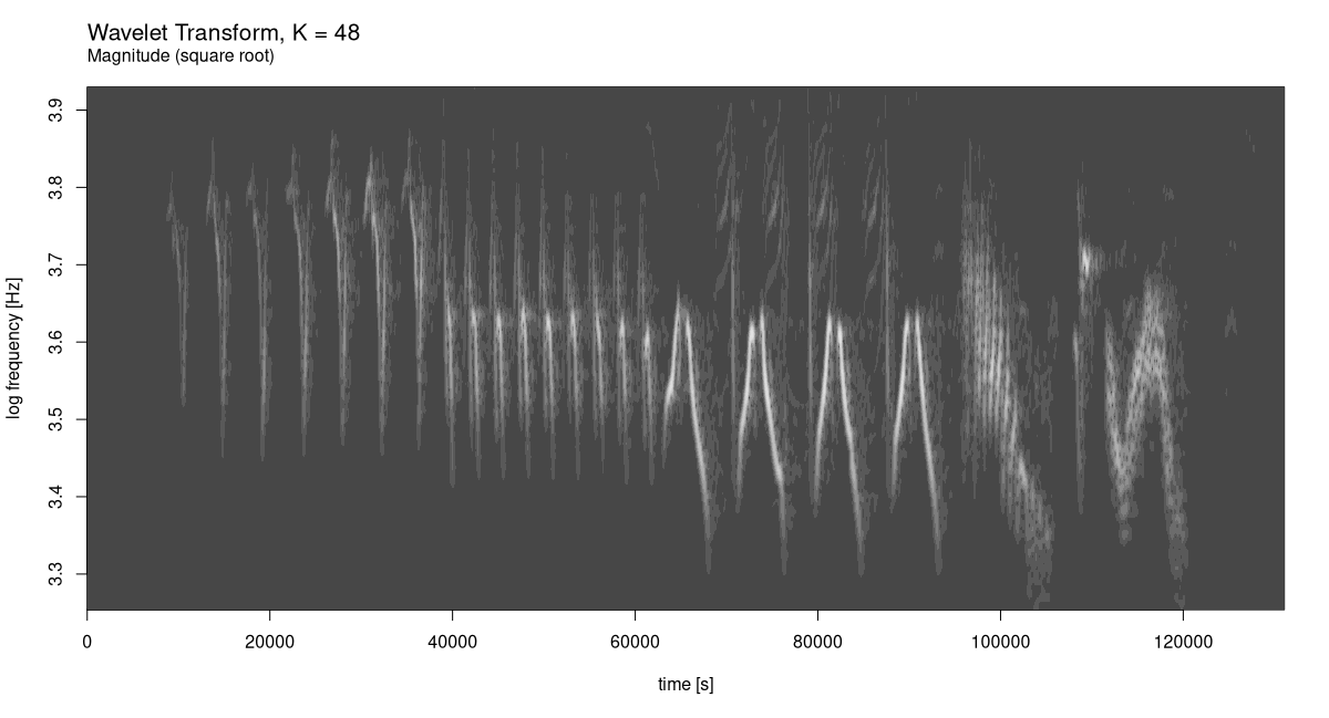 Chaffinch’s song, wavelet diagram.