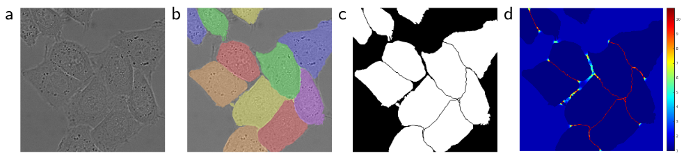 Example segmentation from Ronneberger et al. 2015.
