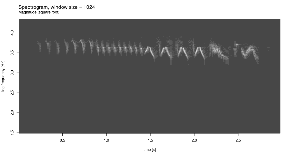 Chaffinch’s song, spectrogram.