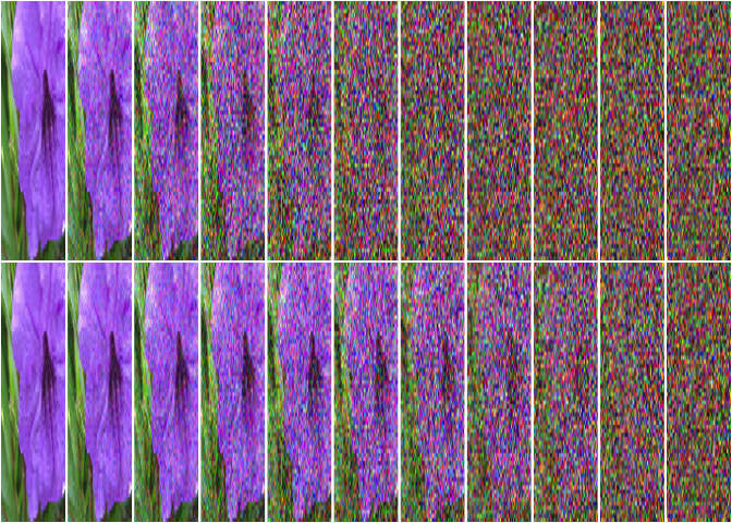 One below the other, two sequences where the original flower image gets transformed into noise at differing speed.