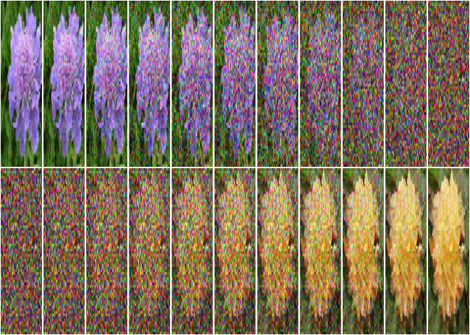 Step-wise transformation of a flower blossom into noise (row 1) and back.