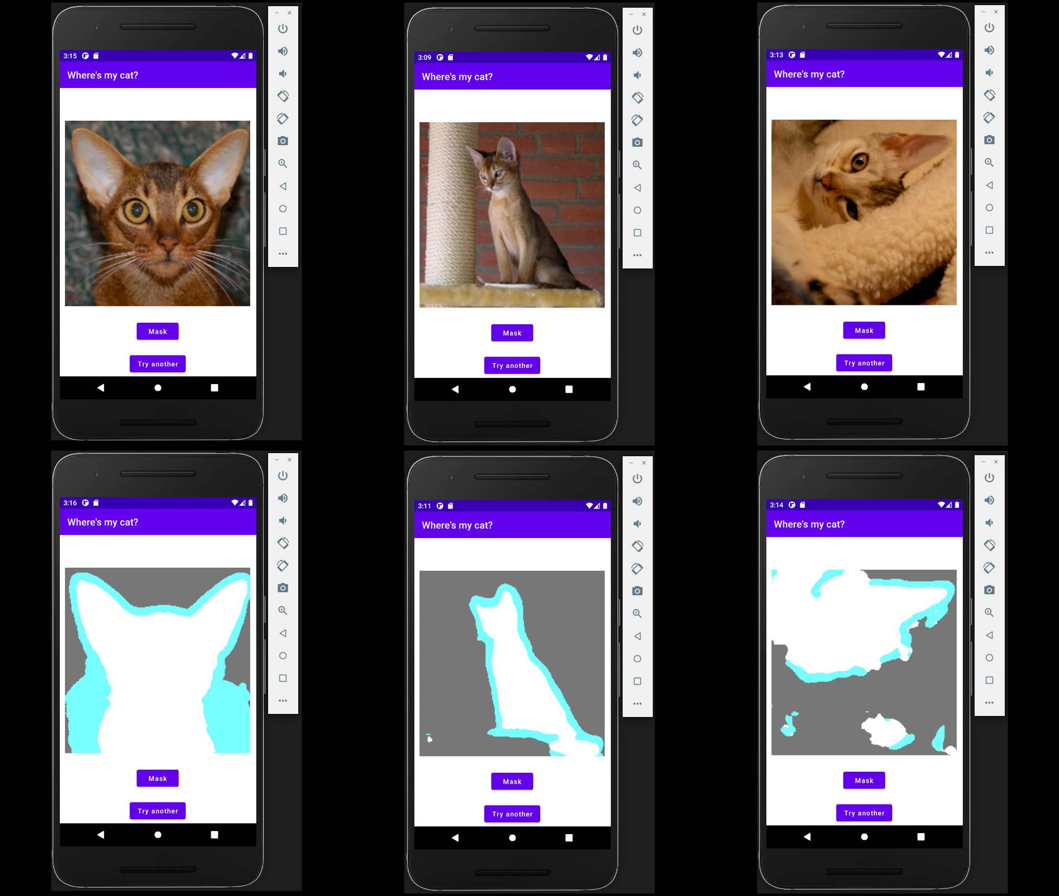 Posit AI Weblog: Prepare in R, run on Android: Picture segmentation with torch