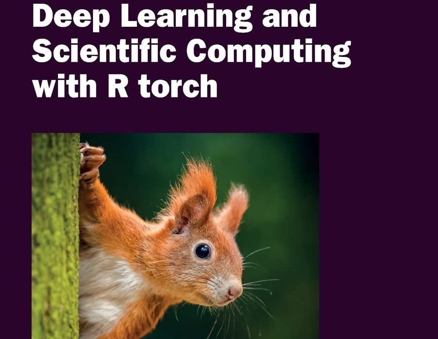 Read more about the article Posit AI Weblog: Deep Studying and Scientific Computing with R torch: the ebook
